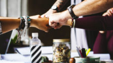 wesam-fawzi-profit-grow-together